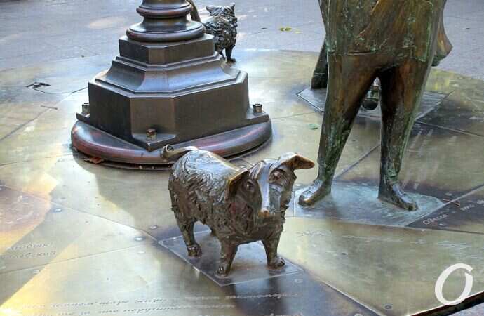 собаки в Одессе15