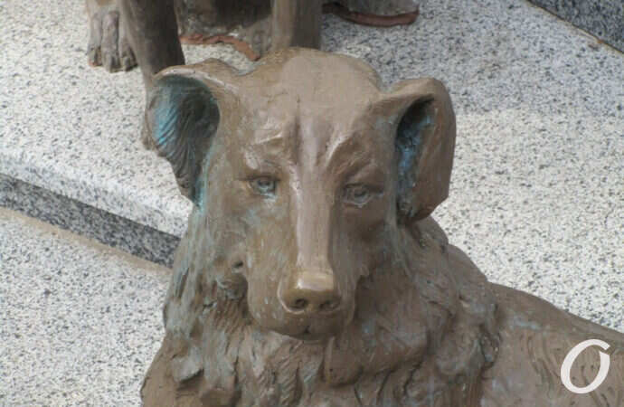 Дай лапу на щастя: де в Одесі собакам встановлені скульптури та пам’ятники