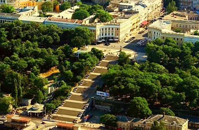 Личное мнение: о чем  в Одессе кричат деревья?