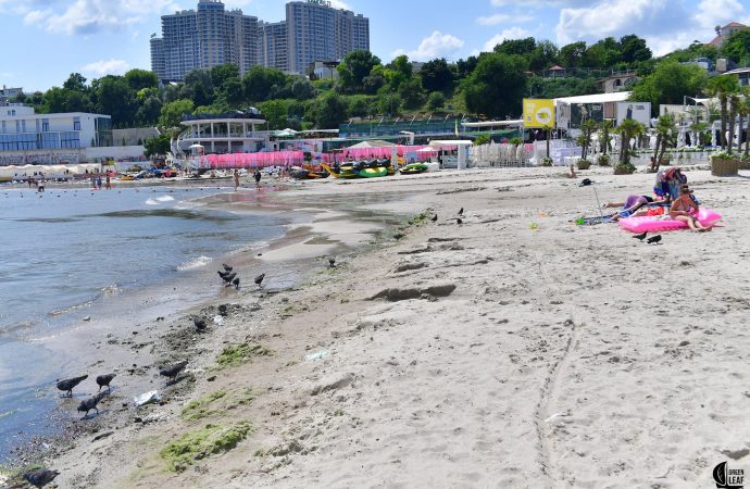 Температура морской воды в Одессе 24 июля: море теплое, но купаться не стоит