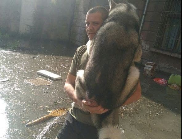 спас собаку на Пересыпи