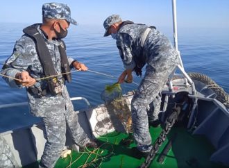 Одесские пограничники спасли в Черном море 1000 крабов (видео)