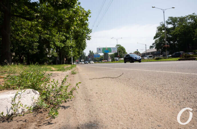 велополоса на Люстдорфской дороге