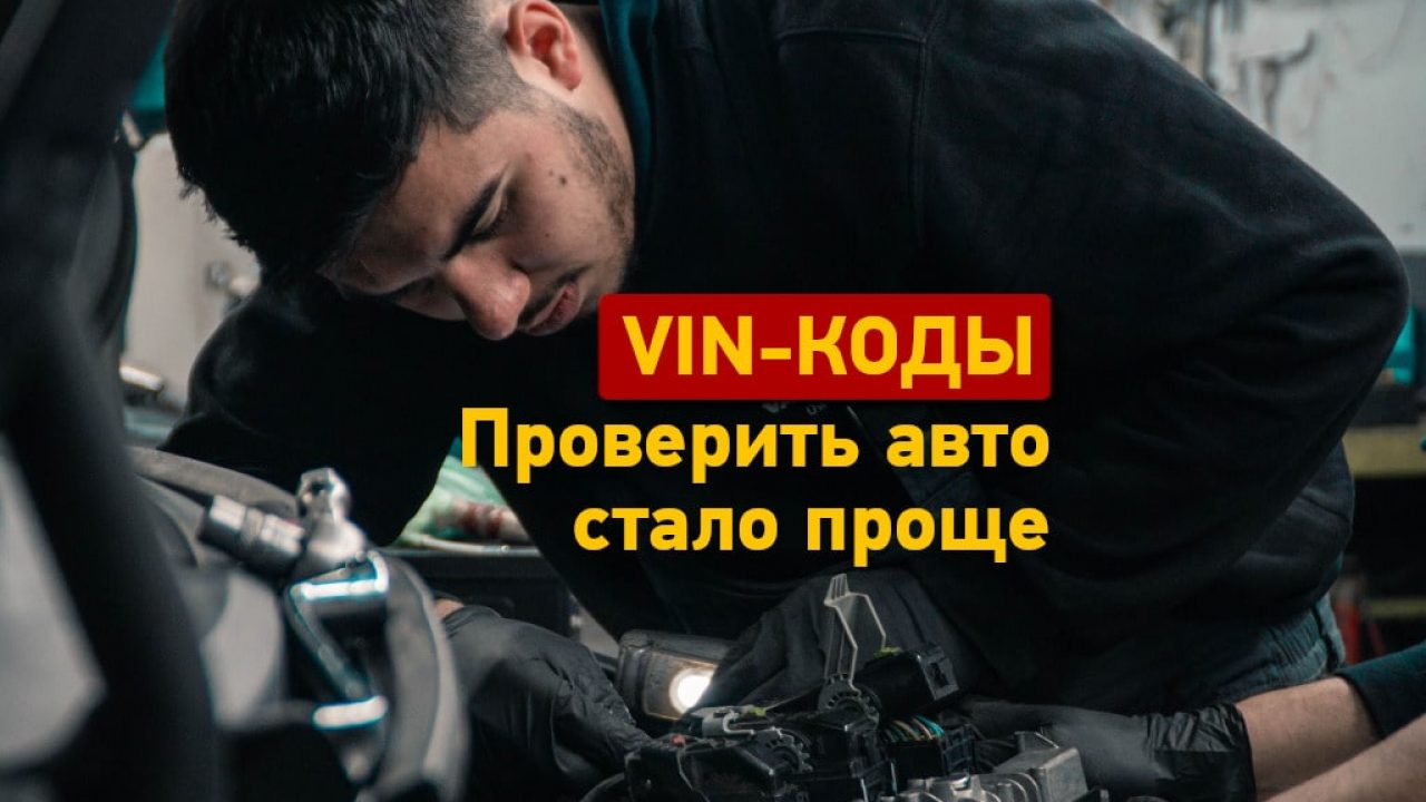 В Украине открыли доступ к VIN-кодам автомобилей - Одесская Жизнь