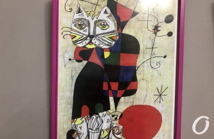 Путешествие кота4