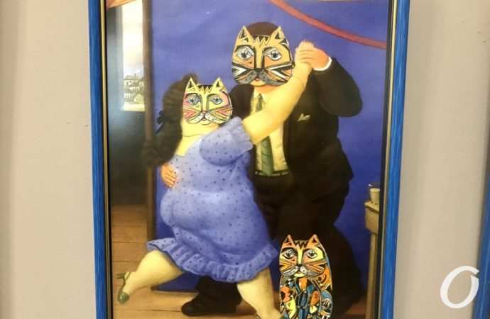 Путешествие кота3