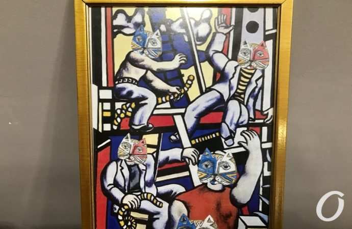 Путешествие кота8