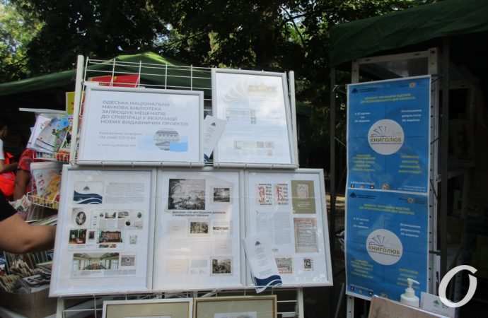 Зеленая волна14