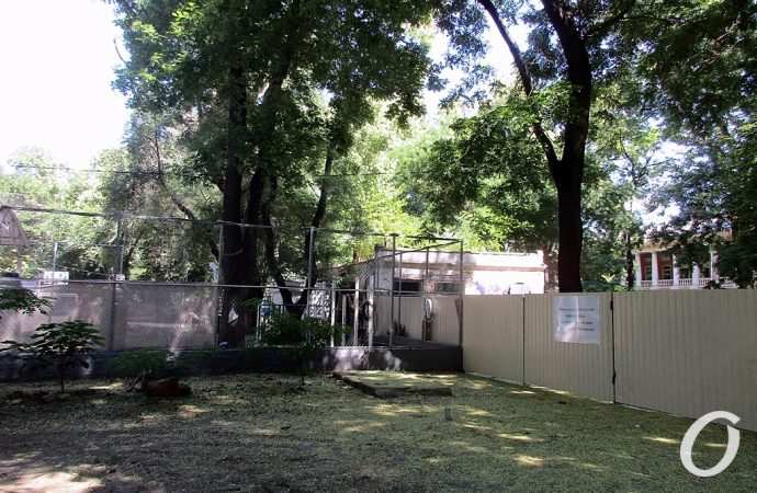 Стройка в сквере8