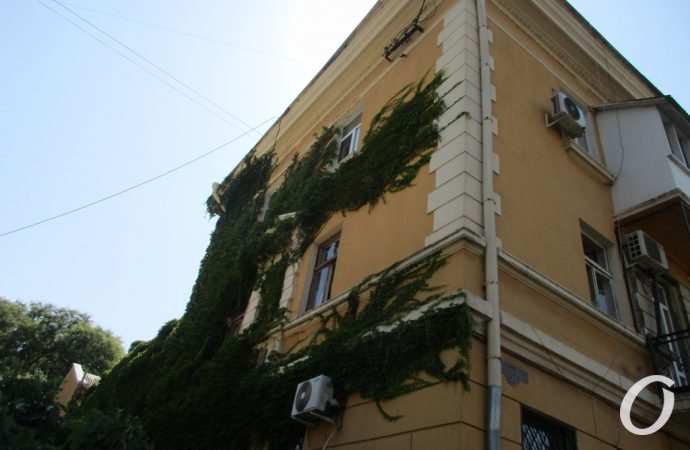 Тираспольская33