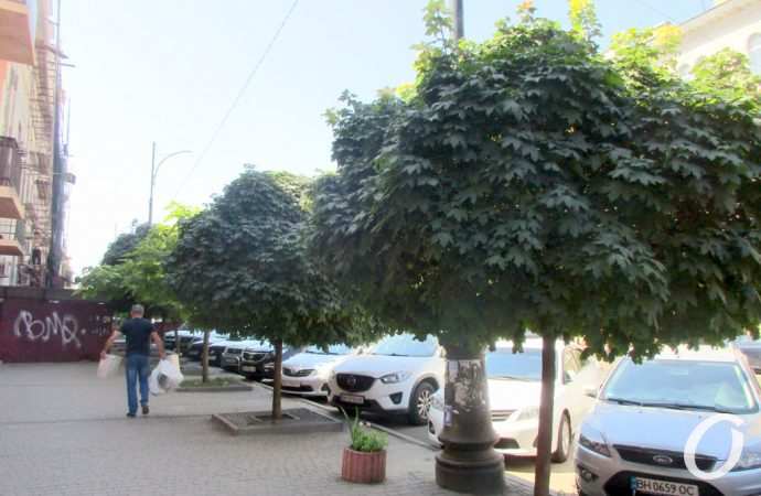 Тираспольская8