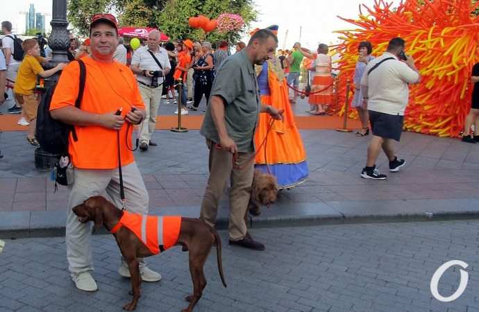 Рыжий город