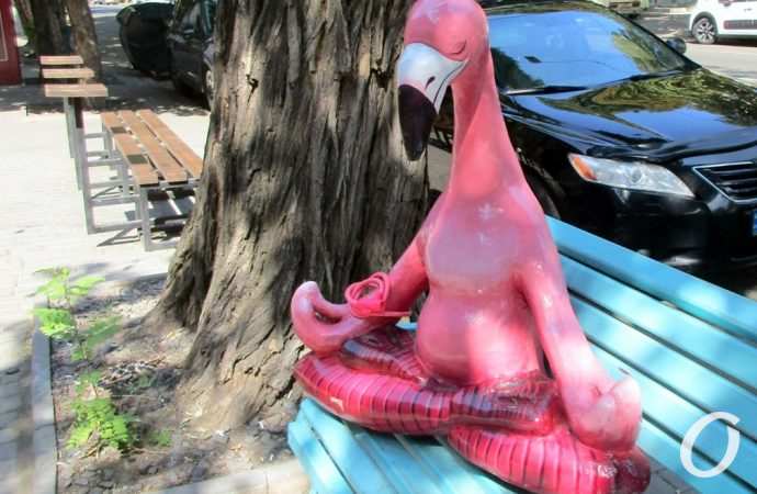 В Одессе на скамейке фламинго застыл в позе лотоса (фото)