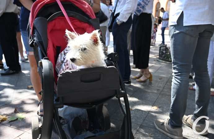 вышиванковый фестиваль