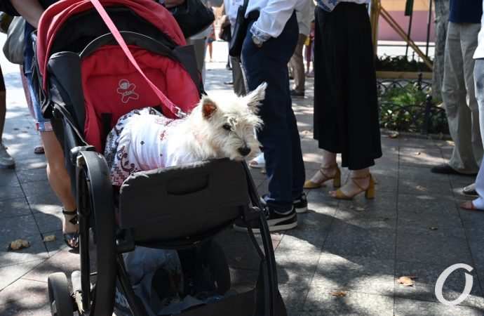 вышиванковый фестиваль