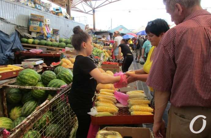 привоз торговля