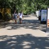В парке Шевченко появилась аллея со светящимися стихами и чудо-куб (фото)