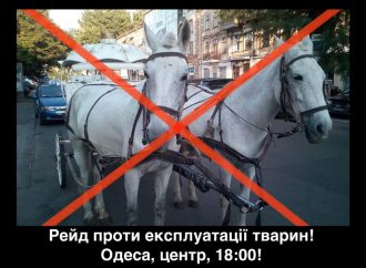 Одесситы заступились за лошадь: активисты грозятся разгромить все кареты для увеселения отдыхающих