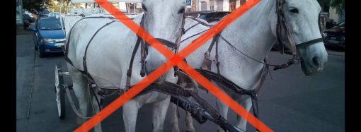 Одесситы заступились за лошадь: активисты грозятся разгромить все кареты для увеселения отдыхающих
