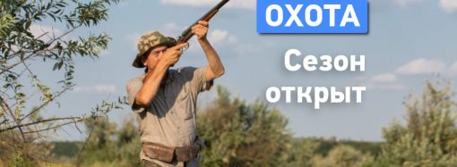 В Одесской области открылся сезон охоты на пернатых: что нужно знать