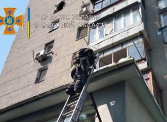 В Одессе пожарные спасли пса, упавшего с 6-го этажа (фото)