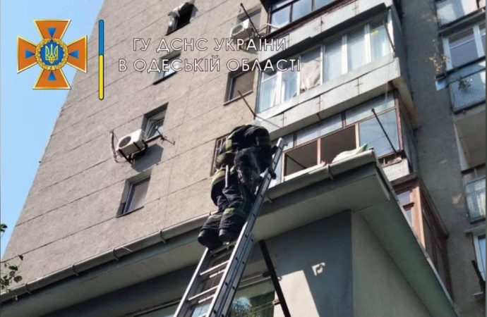 В Одессе пожарные спасли пса, упавшего с 6-го этажа (фото)