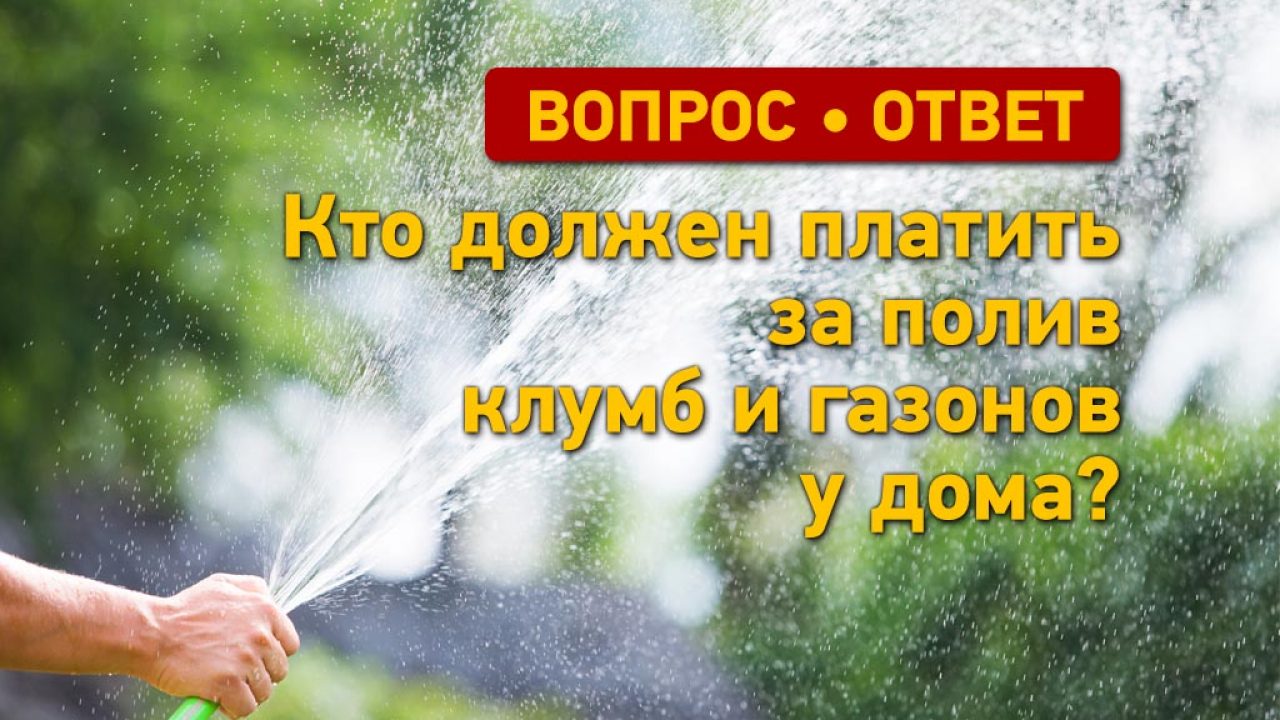 Вопрос - ответ: кто должен платить за полив клумб и газонов у дома?