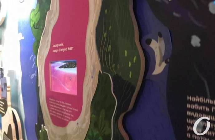 выставка «Вражариум»5