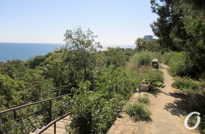 санаторий Чкаловский7