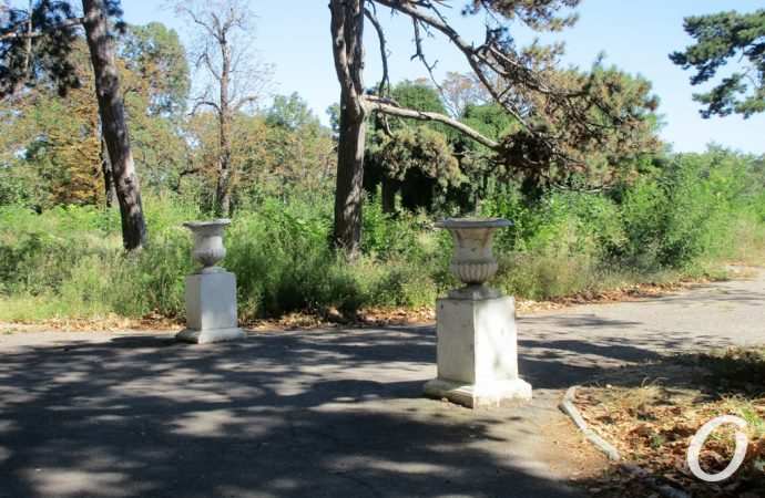 санаторий Чкаловский9