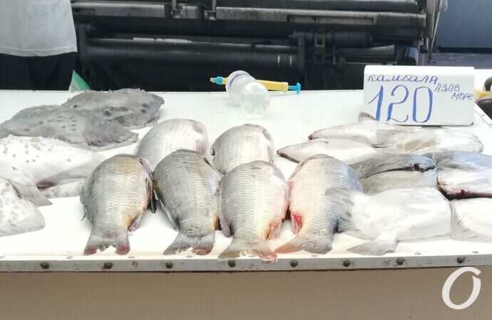 Привоз в сентябре27