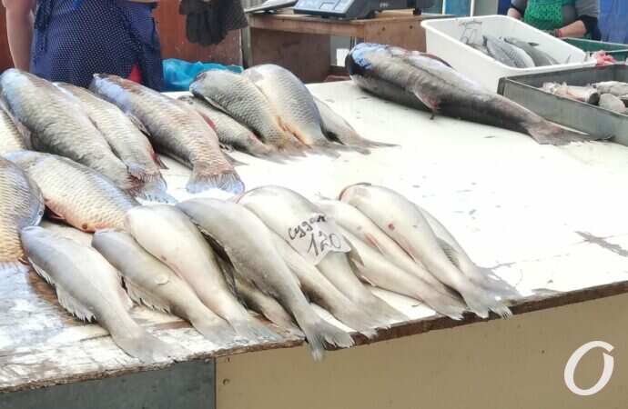 Привоз в сентябре29