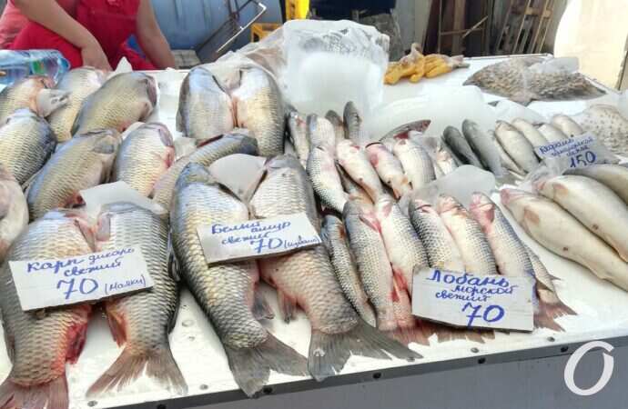 Привоз в сентябре30