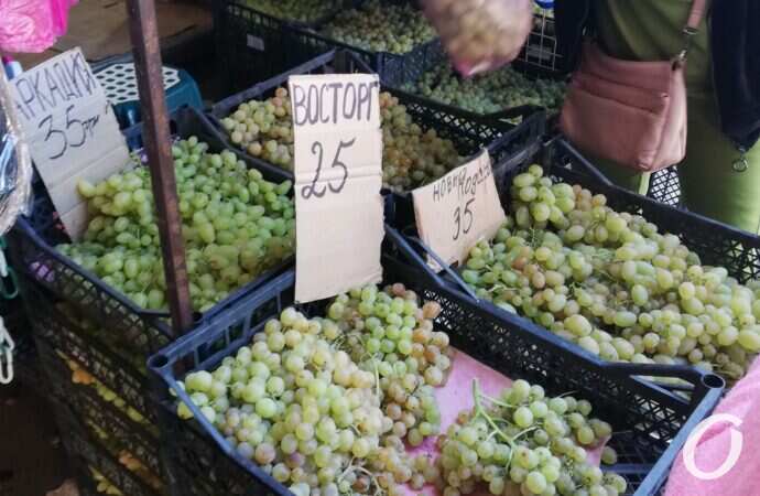 Привоз в сентябре7