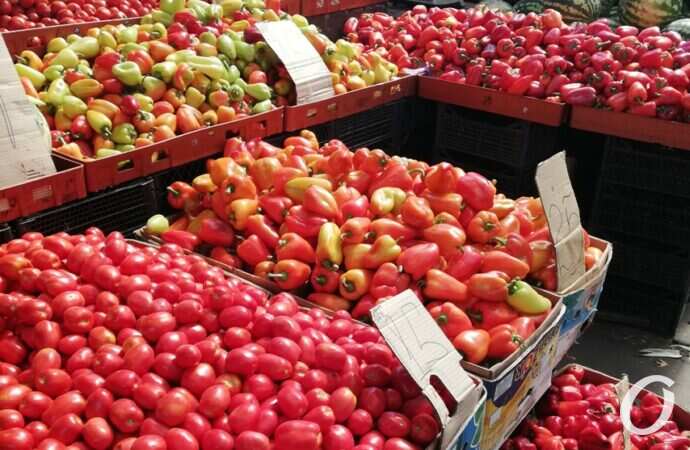 Привоз в сентябре9