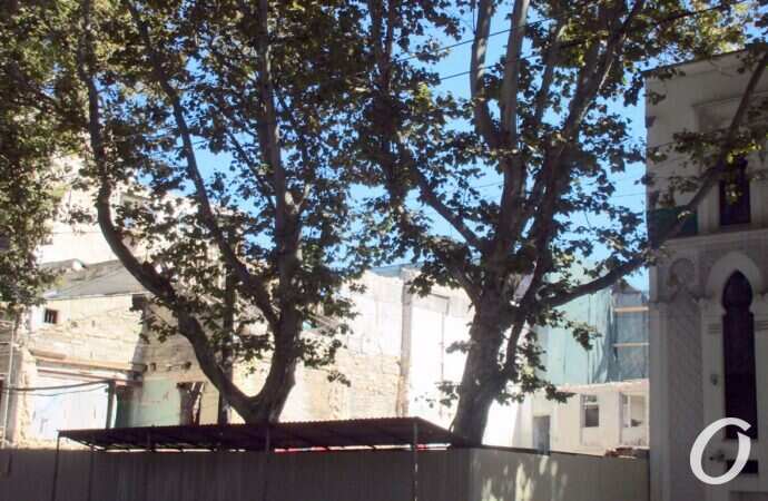 типография Фесенко все8