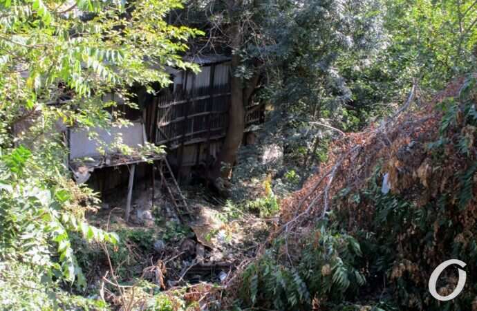 Свалка-балка2