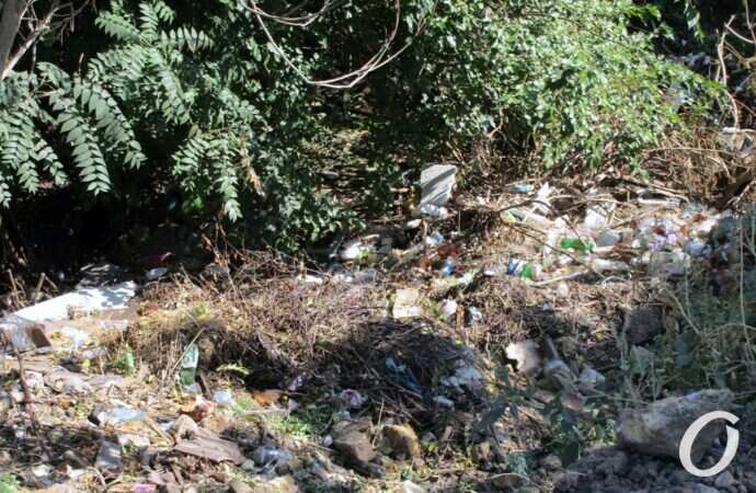 Свалка-балка3