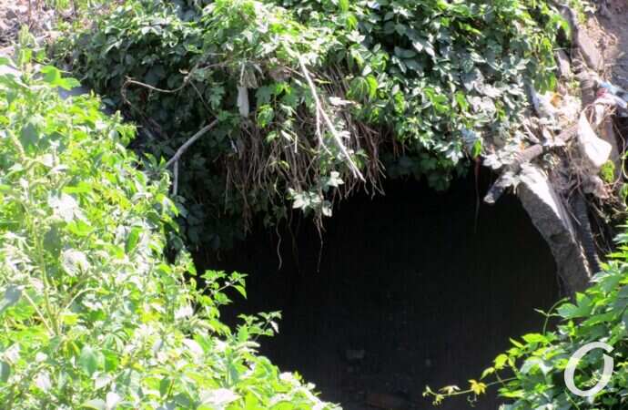 Свалка-балка9