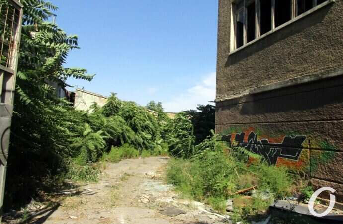 «Заброшка» на Дальницкой в Одессе6