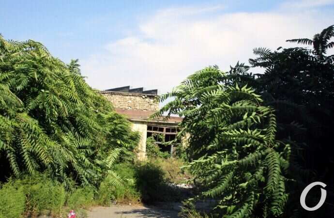 «Заброшка» на Дальницкой в Одессе7