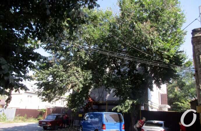 Виноградный переулок4