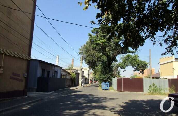 Виноградный переулок5