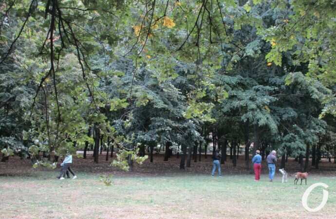 сквер-мемориал у ОГА14