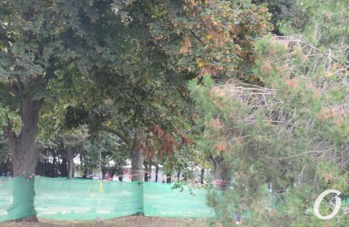 сквер-мемориал у ОГА6