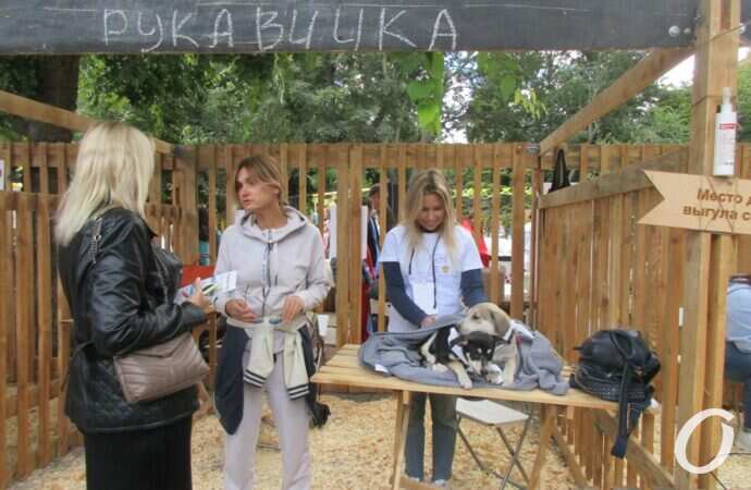 фестиваль Home Me Fest13