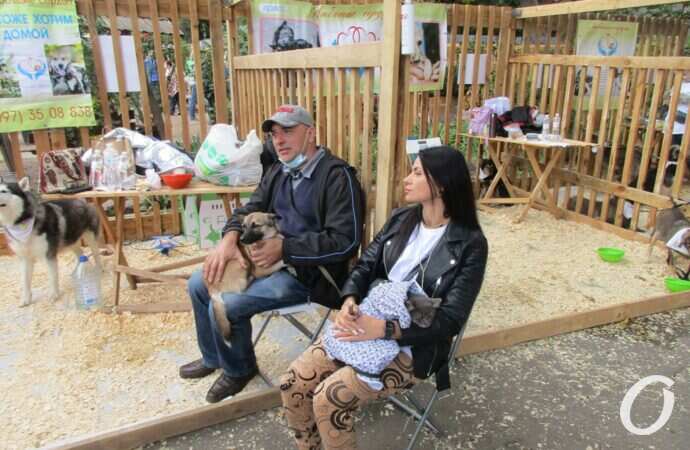 фестиваль Home Me Fest14