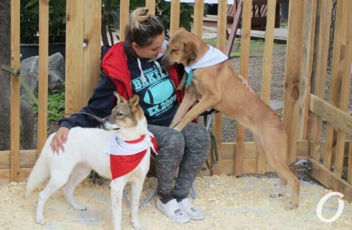 фестиваль Home Me Fest15