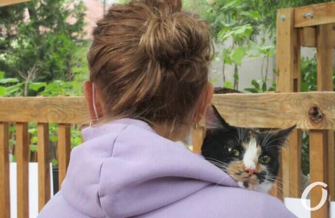 фестиваль Home Me Fest20