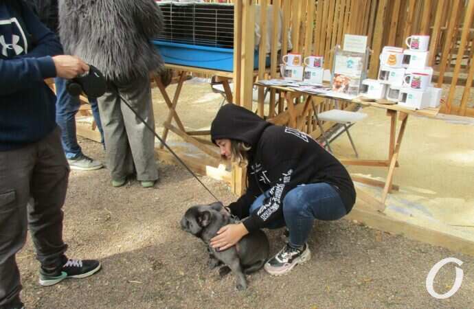 фестиваль Home Me Fest22